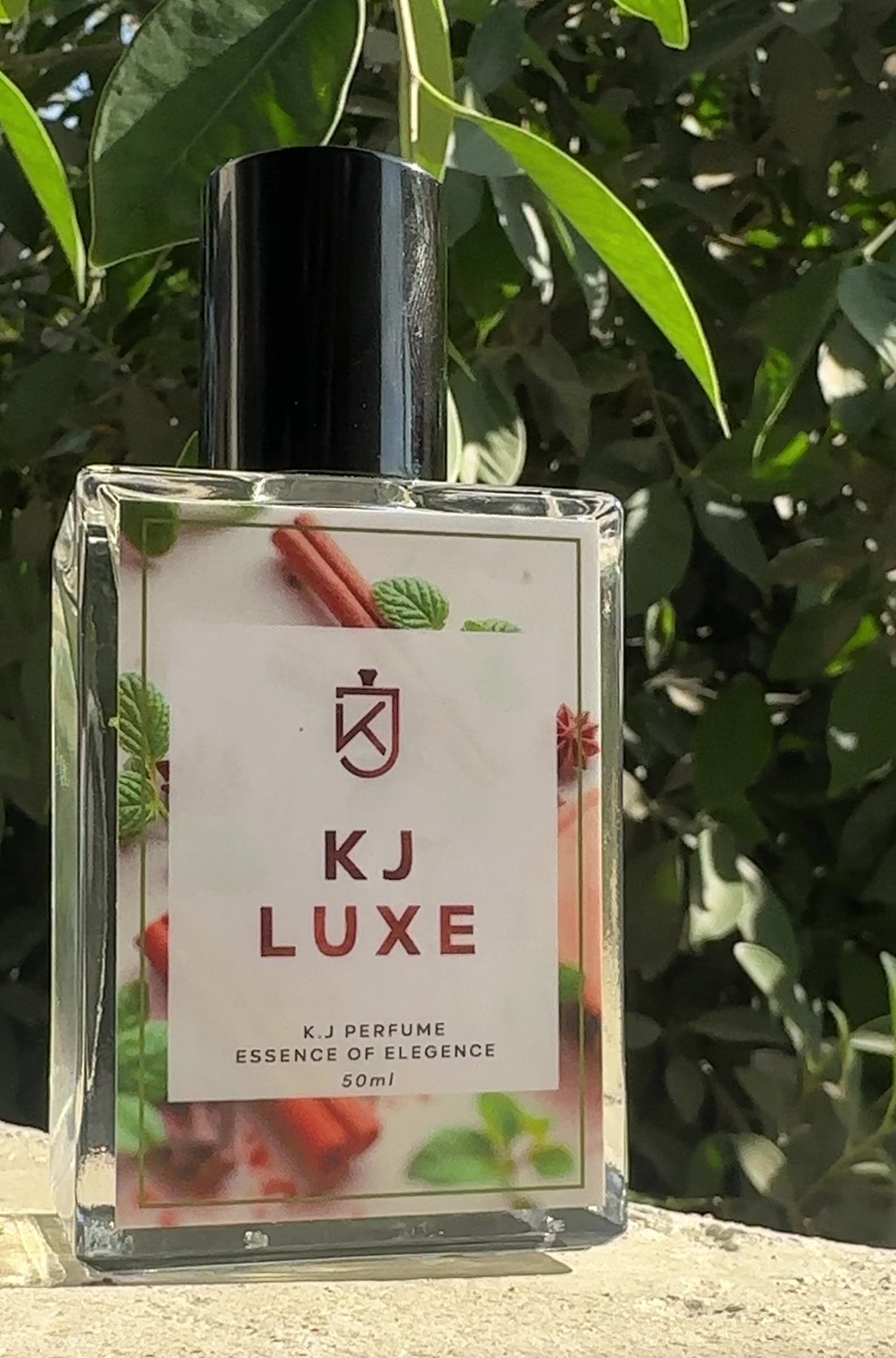 KJ Luxe - Inspired by 212 VIP