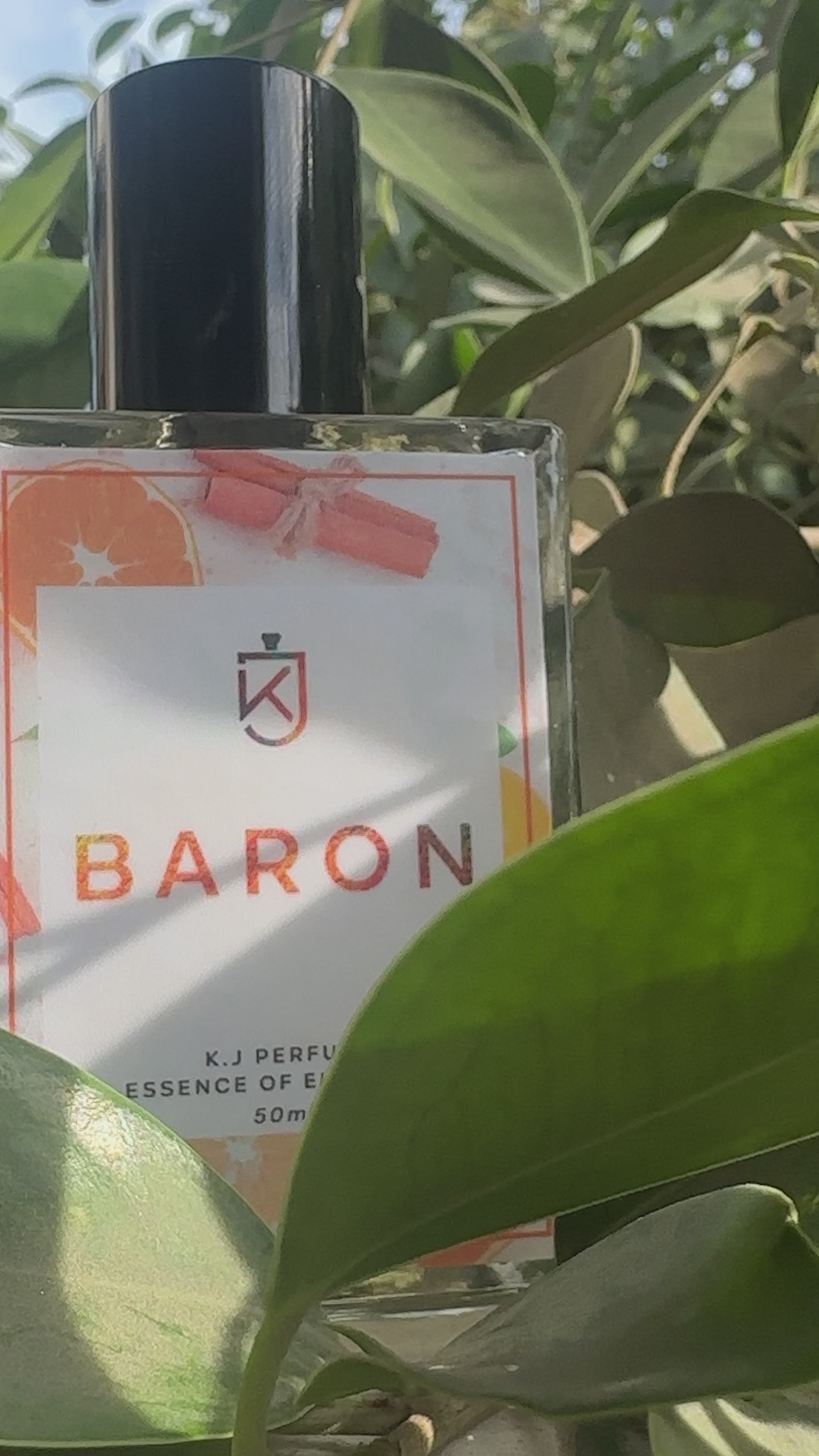 Baron - Inspired by Aventus Creed